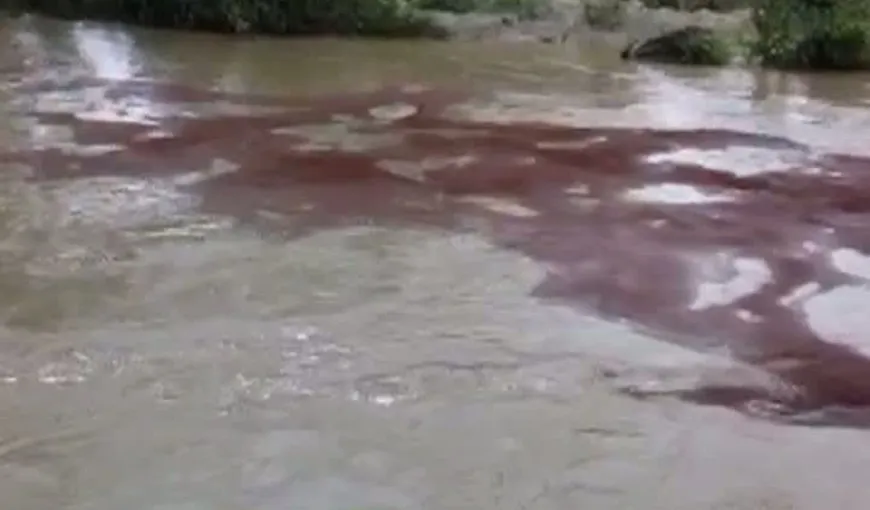 ALERTĂ pe râul Olteţ: Poluarea cu ţiţei a trecut de toate barajele absorbante