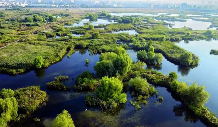 Ministerul Mediului organizează sâmbătă o acţiune de ecologizare a „deltei” Văcăreşti, din Capitală