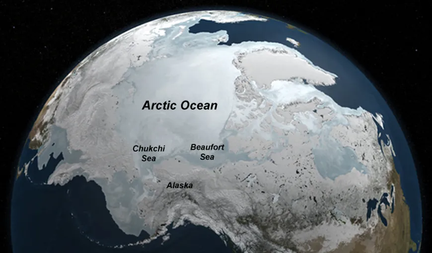 Descoperire NASA în Oceanul Arctic: Este ca şi cum ai găsi o junglă în mijlocul deşertului VIDEO