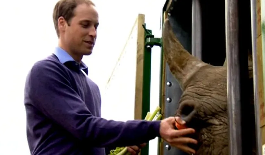 Prinţul William furios: Cere încetarea imediată a braconajului de rinoceri VIDEO