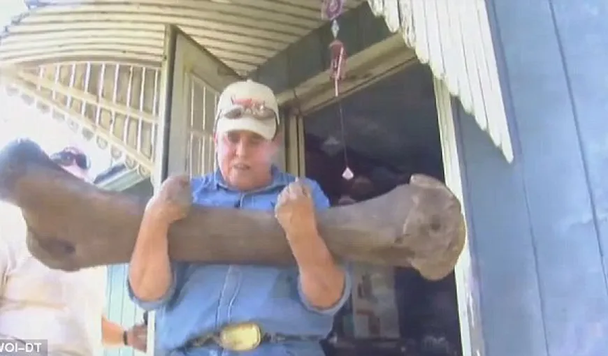 Un american a descoperit fosilele unui mamut lânos în grădina sa VIDEO
