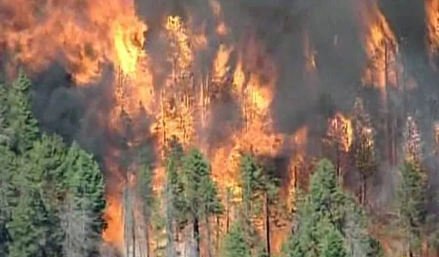 Incendiu violent de vegetaţie în Colorado. 80 de hectare de pădure, distruse VIDEO
