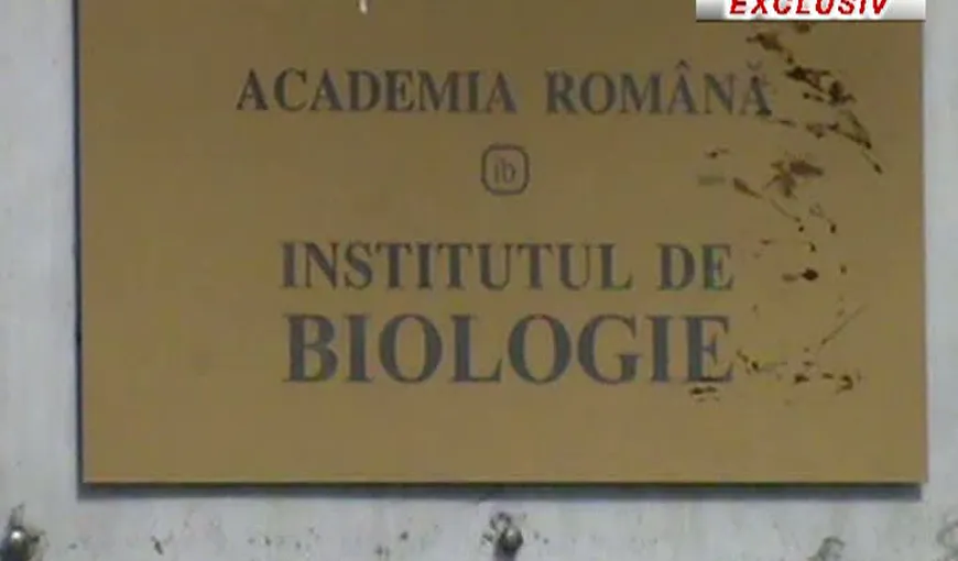 Institutul de Biologie şi Clubul Sportiv Rapid, păgubite după mai multe schimburi de terenuri VIDEO