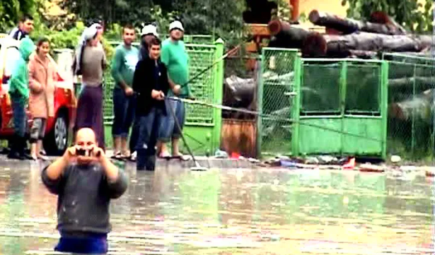 După potop, vâlcenii au ieşit la pescuit pe străzi VIDEO