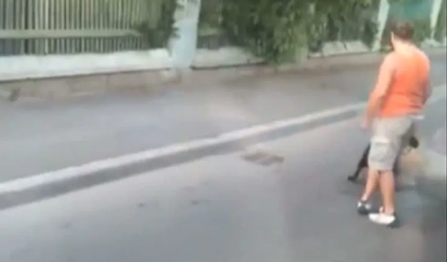 REVOLTĂTOR! Un bărbat îşi asmute rottweilerul împotriva unui maidanez VIDEO