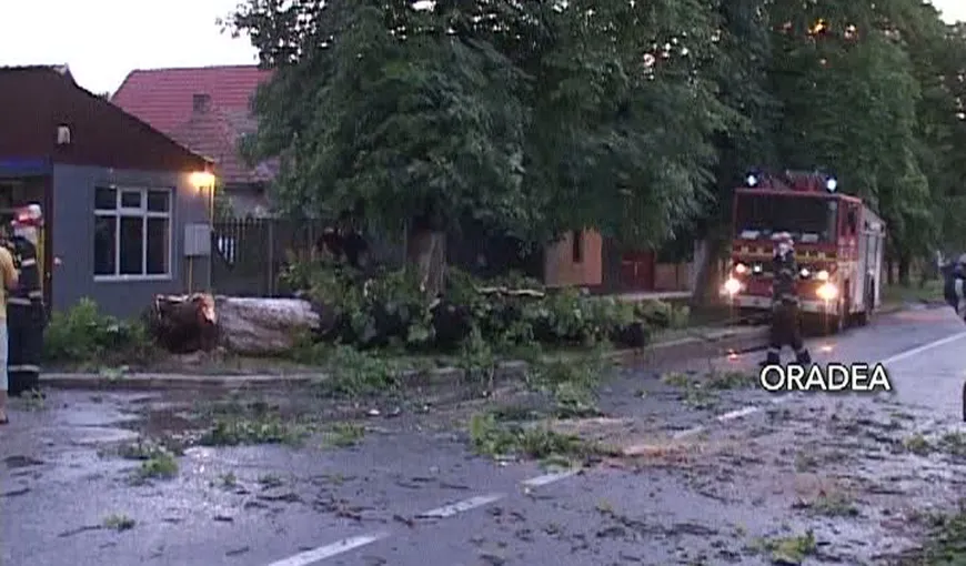 Furtuna a făcut prăpăd în Oradea şi Suceava. Mai multe case au fost distruse VIDEO