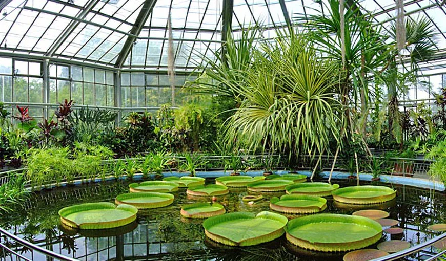 Grădina Botanică Bucureşti inaugurează un spaţiu dedicat copiilor pentru educaţie ecologică
