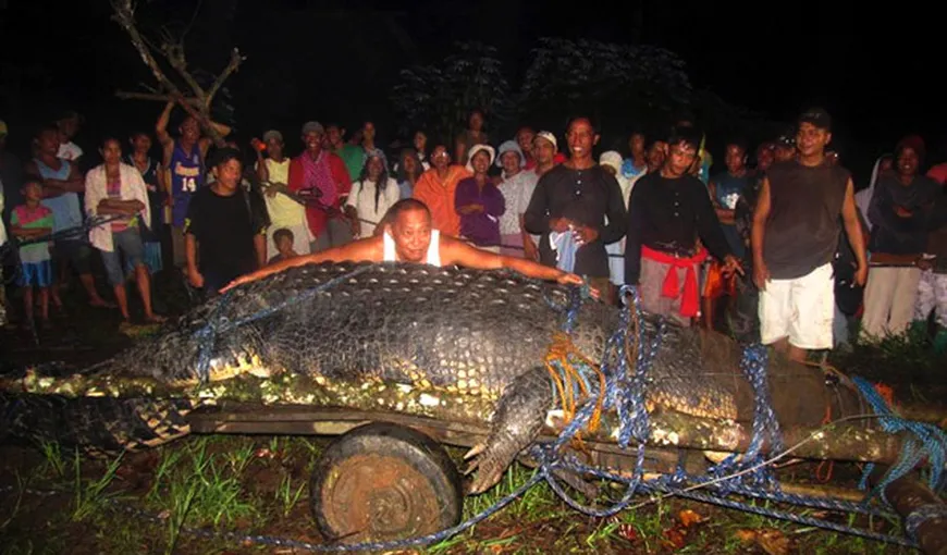 Cel mai mare crocodil din lume, de peste 6 metri lungime, trăieşte în Filipine VIDEO