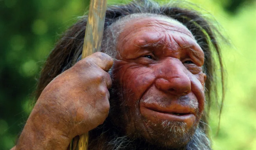 Omul de Neanderthal se trata cu plante medicinale atunci când era bolnav