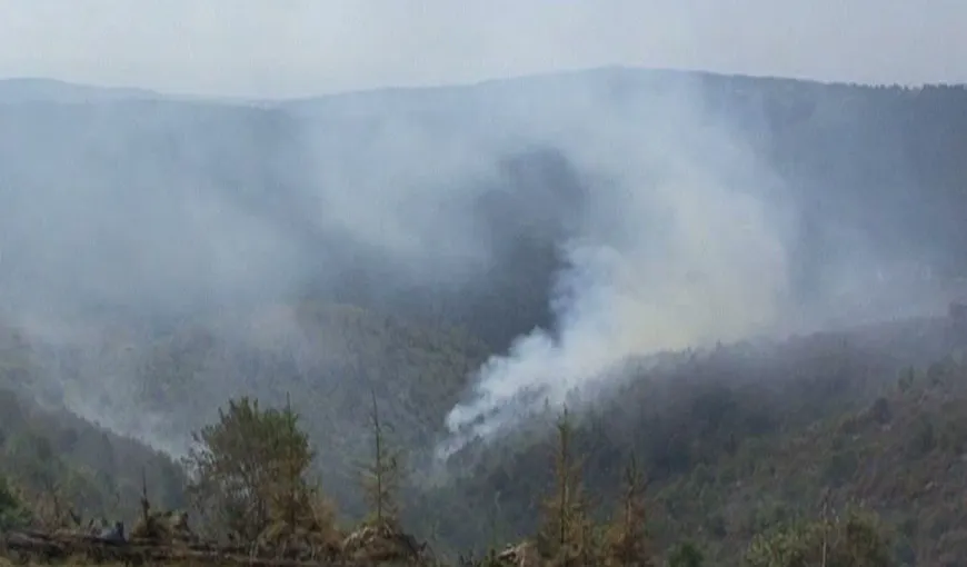 Zeci de hectare de pădure din Harghita ard de două zile VIDEO