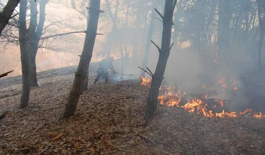 Incendiu de pădure în Munţii Rodnei, focul cuprinzând o suprafaţă de circa zece hectare