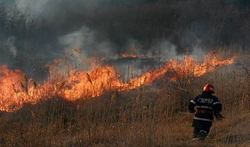 Incendiu de vegetaţie în Parcul Naţional Ceahlău