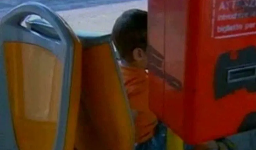 AVENTURA unui PUŞTI român în Italia. A plecat de acasă şi s-a plimbat cu autobuzul VIDEO