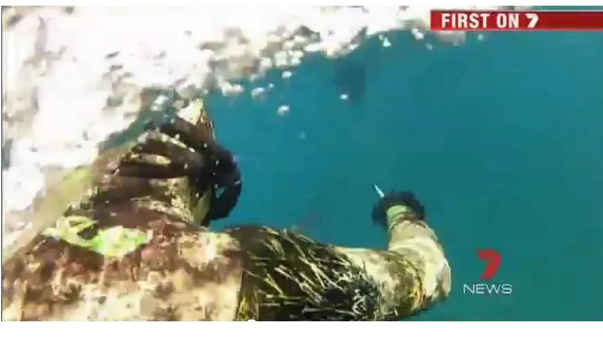 S-au băgat să înoate în ocean şi au văzut moartea cu ochii VIDEO