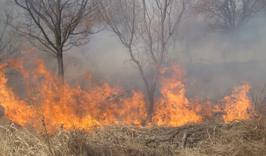 Un român a murit într-un incendiu de vegetaţie izbucnit în Italia