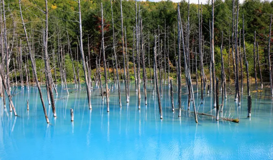 Lacul de un albastru fermecător: Locul preferat al turiştilor, în Japonia FOTO