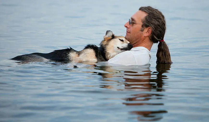 Imaginea care a topit inimile: Un câine bolnav adoarme în braţele stăpânului, într-un lac FOTO