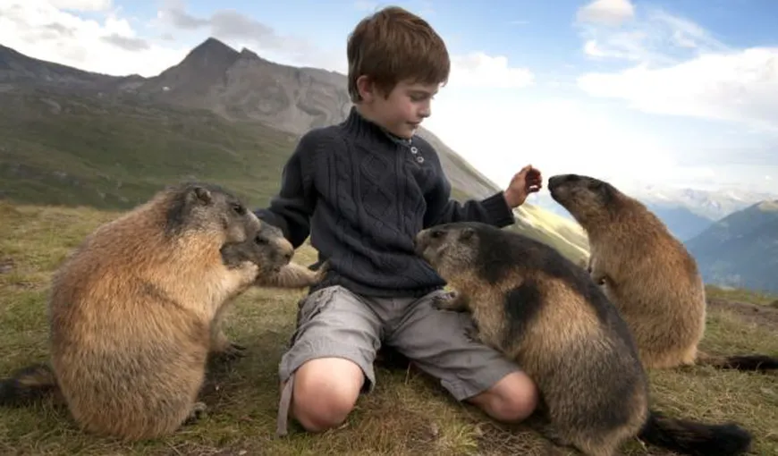 Un Mowgli real: Un băieţel s-a împrietenit cu o colonie de marmote FOTO