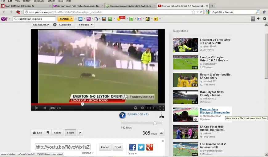 Un câine joacă fotbal şi înscrie un gol în Cupa Ligii, pe terenul lui Everton VIDEO
