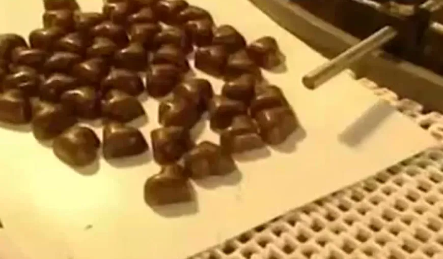 Cercetătorii britanici au inventat un tip de ciocolată care nu îngraşă