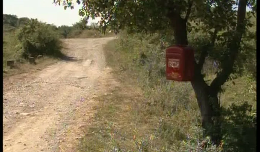Sătenii îşi fac cruce: Cutie poştală, cocoţată în copac pe un deal VIDEO