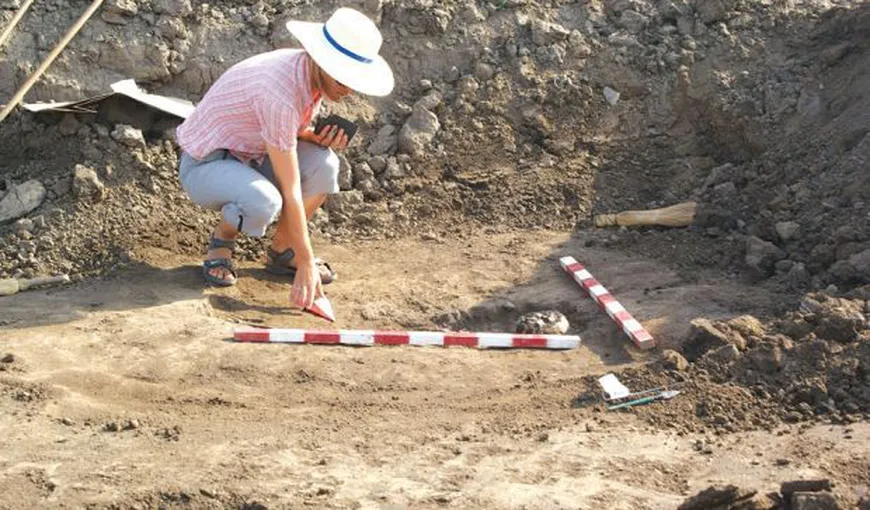 Un colţ de mamut vechi de 10.000 de ani, descoperit pe un şantier din Düsseldorf