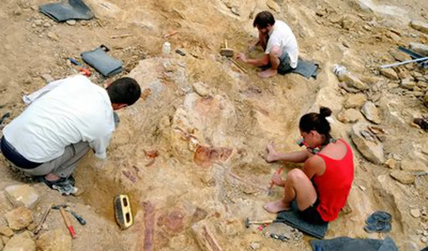 Paleontologii francezi au botezat o fosilă drept „dinozaurul-ţigan”, rudă cu „verii” din România