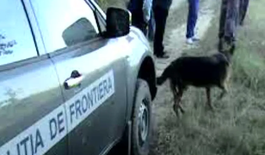 O adolescentă dispărută, căutată cu câini într-o pădure din Caraş-Severin
