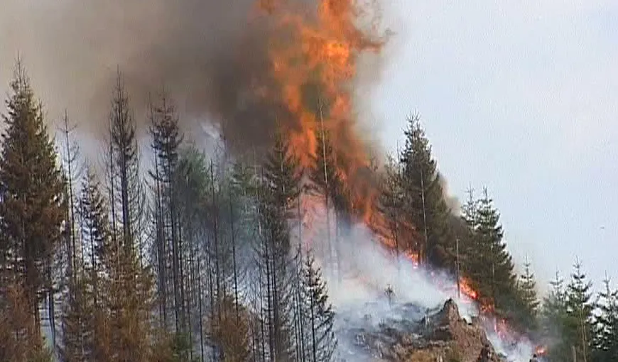 Pompierii argeşeni intervin pentru stingerea unui incendiu izbucnit pe Vârful Negoiu