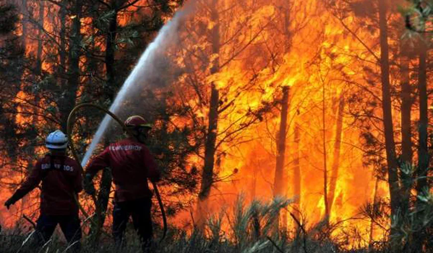 Incendiu de vegetaţie în Munţii Apuseni, într-o zonă greu accesibilă