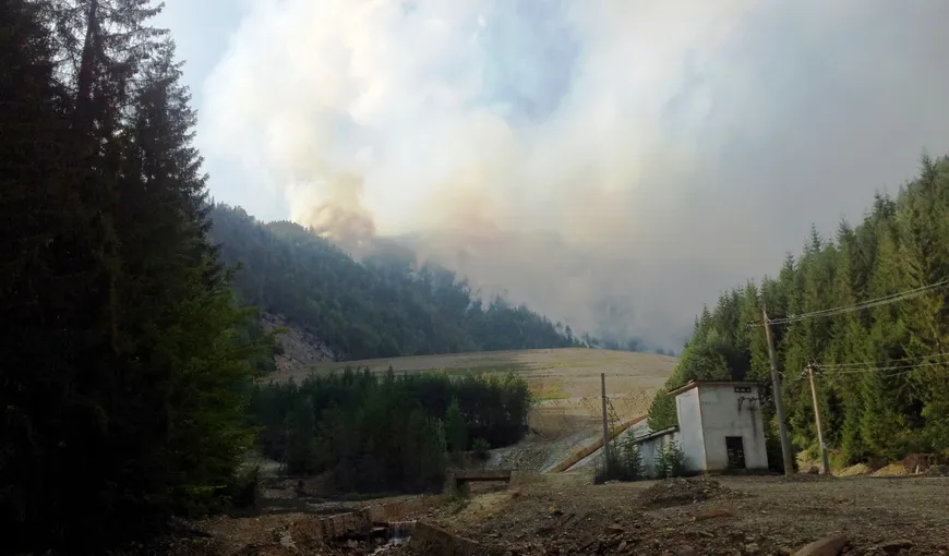 Zeci de hectare de pădure ard în Munţii Rodnei