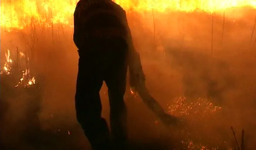 Incendiu puternic la un gater, în Harghita