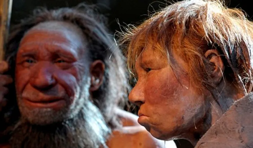 STUDIU: Oamenii de Neanderthal erau dreptaci şi înzestraţi probabil cu darul vorbirii