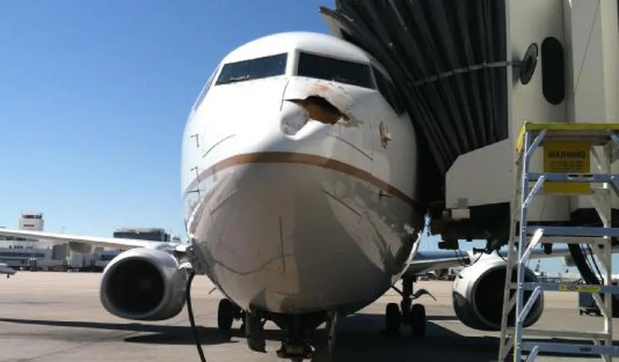 Un avion de pasageri a suferit daune considerabile după ce a lovit o pasăre, la aterizare