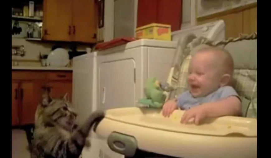 Cucu-bau! Cum face o pisică un bebeluş să râdă în hohote VIDEO
