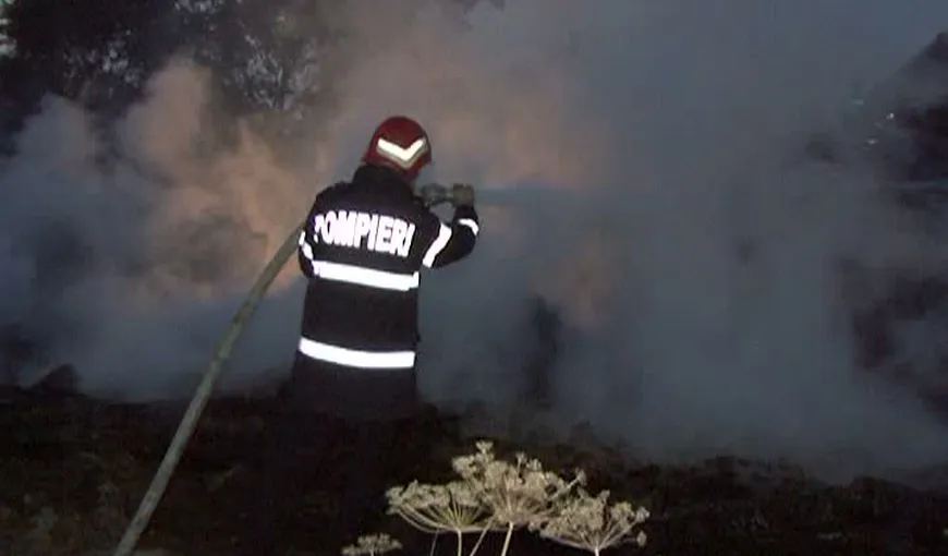 Incendiu la marginea unei păduri, în Prahova VIDEO
