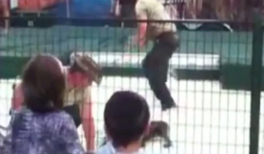 Dresor, atacat de un aligator chiar în timpul unui spectacol VIDEO