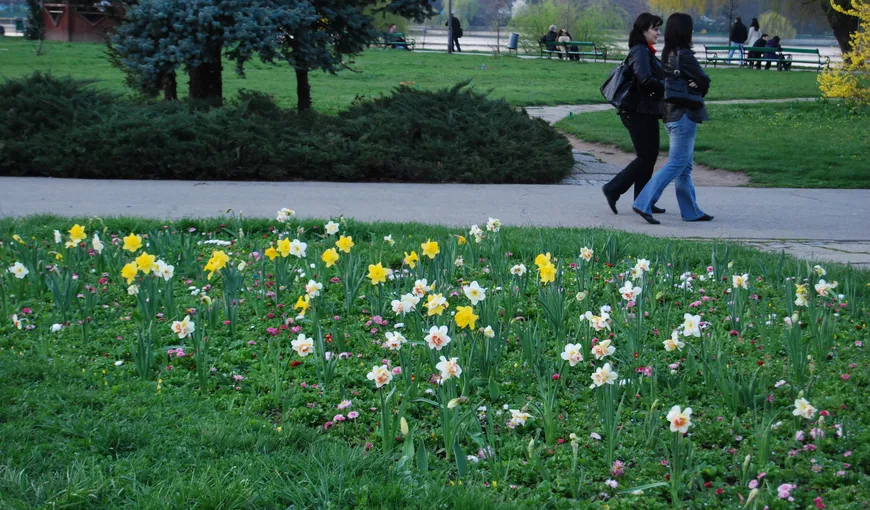 Zilele Bucureştiului: Tradiţionala bătaie cu flori are loc sâmbătă în Herăstrău