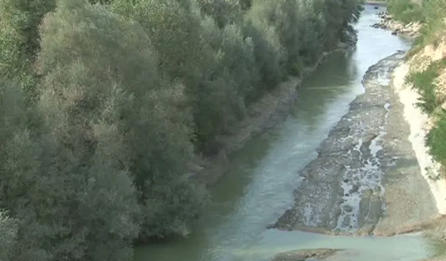 Schelet uman, găsit pe marginea râului Argeş VIDEO