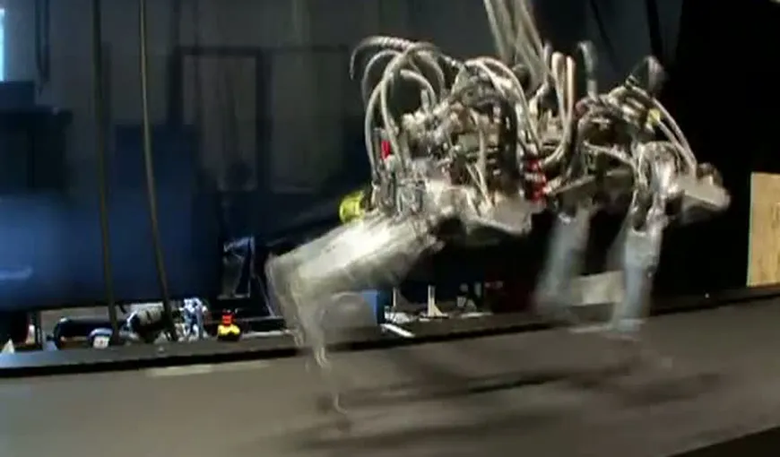 Un robot mai iute de picior decât Usain Bolt VIDEO