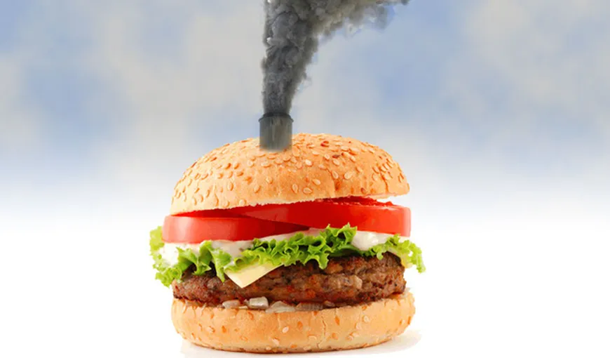 Hamburgerii sunt MAI NOCIVI pentru mediu decât camioanele. Vezi explicaţia