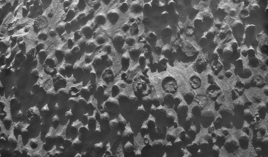 Imagine ciudată pe Planeta Roşie: Roverul Opportunity a fotografiat „afinele” marţiene FOTO