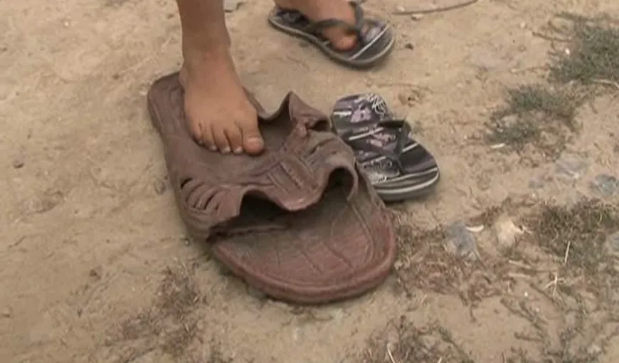 Doi tineri din Timiş au descoperit un papuc uriaş. Şlapul este mărimea 63 VIDEO