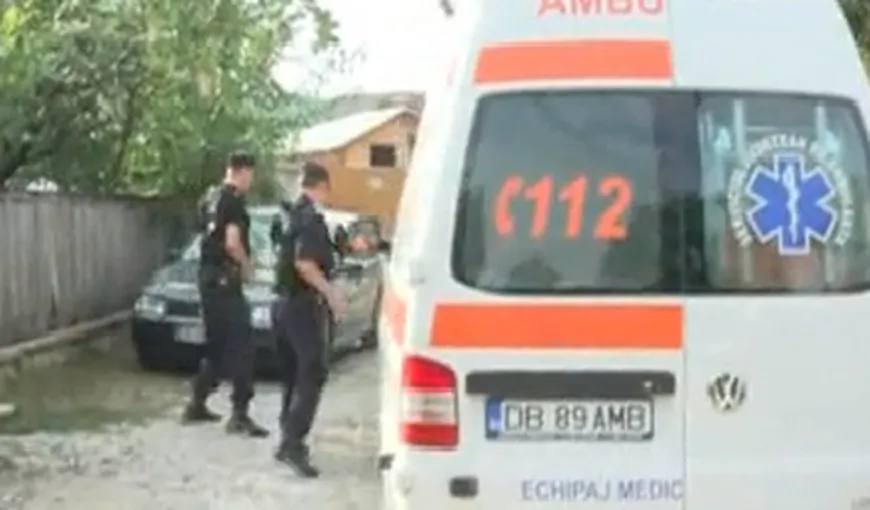 Un urs a TERORIZAT un sat din Dâmboviţa. A ATACAT trei persoane într-o zi
