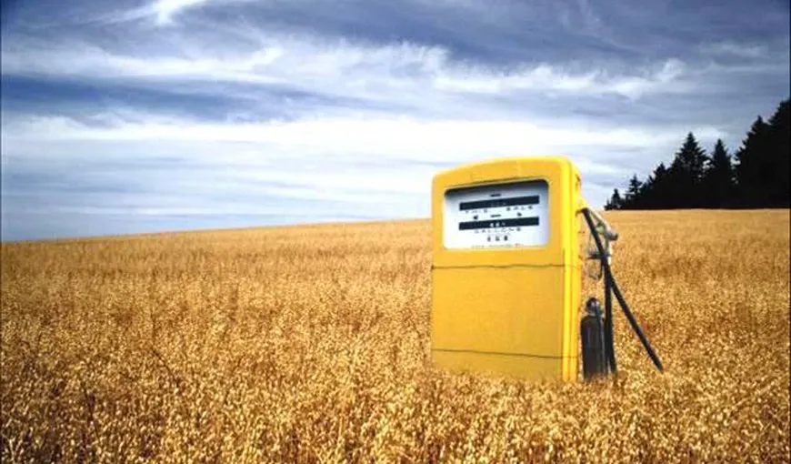 Comisia Europeană a ratat ocazia de a „îndrepta” politica privind biocombustibilii