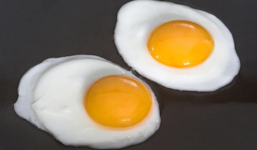 Controversă: Cum e mai bine să mănânci oul, doar albuşul sau şi gălbenuşul?