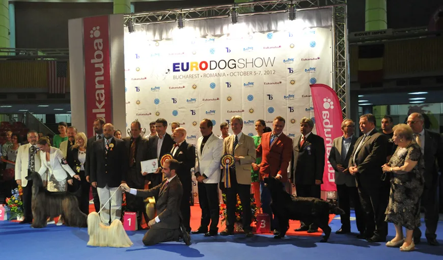 Euro Dog Show 2012: Cei mai frumoşi câini din lume, desemnaţi la Bucureşti FOTO şi VIDEO