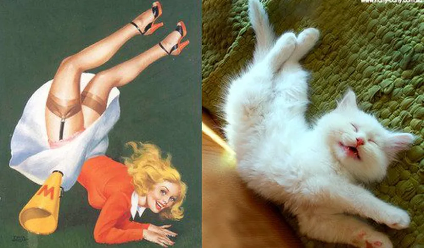 Pisicile, în ipostaze inedite: Feline care imită fetele sexy din vechile reclame FOTO