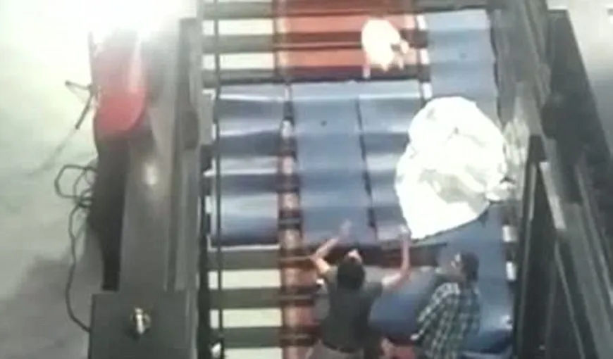 Un „cascador” care arunca pisici în aer a fost bătut de public VIDEO