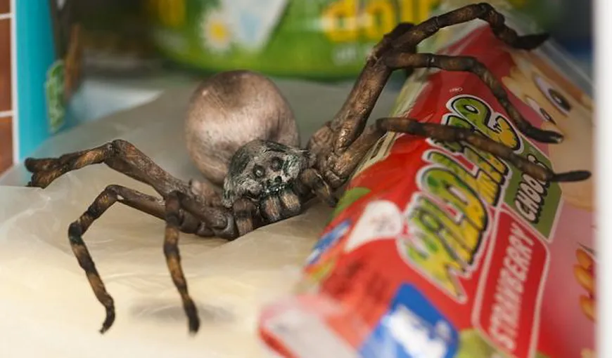 O tarantulă delicioasă: Păianjenul care este, de fapt, o prăjitură FOTO